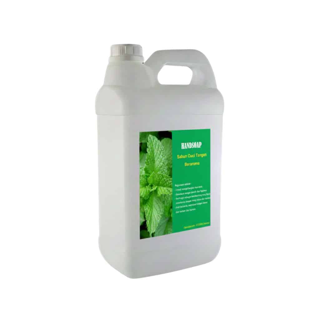 Ecson Handsoap