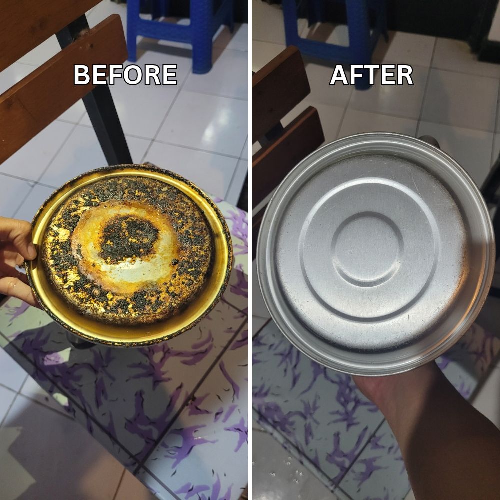 Ecson Heavy Duty Scale Remover