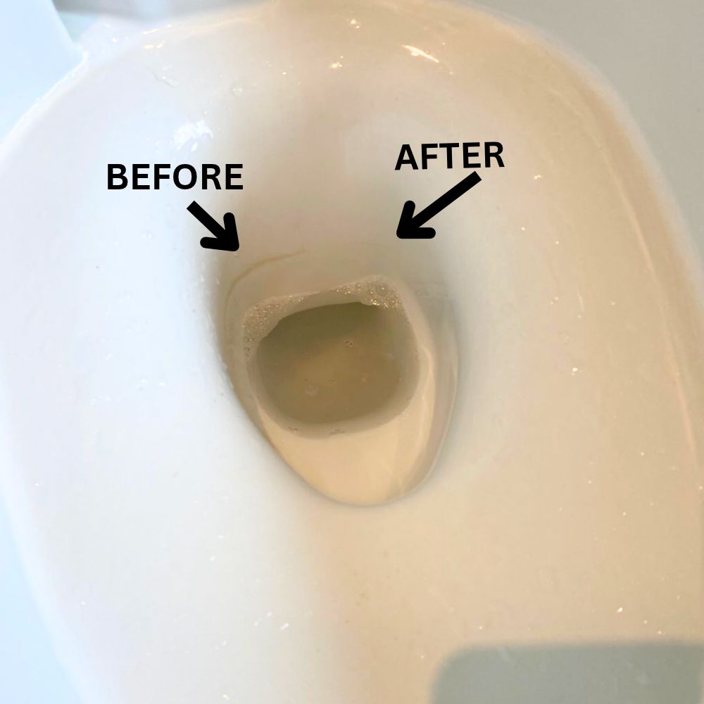 Ecson Toilet Bowl Cleaner